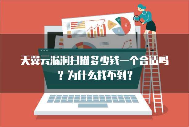 天翼云漏洞扫描多少钱一个合适吗?为什么找不到?