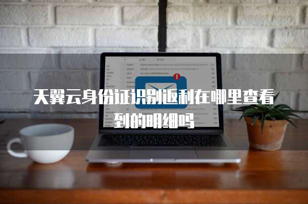天翼云身份证识别返利在哪里查看到的明细吗