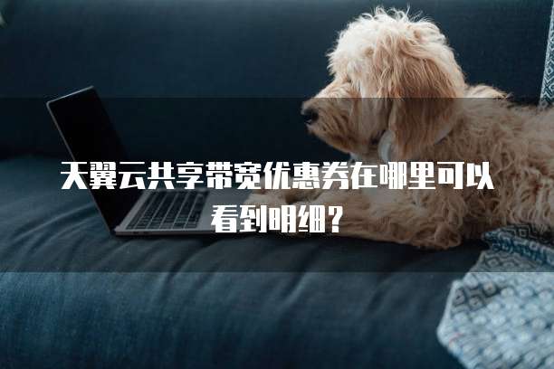 天翼云共享带宽优惠券在哪里可以看到明细?