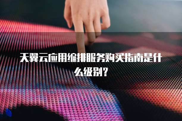 天翼云应用编排服务购买指南是什么级别？