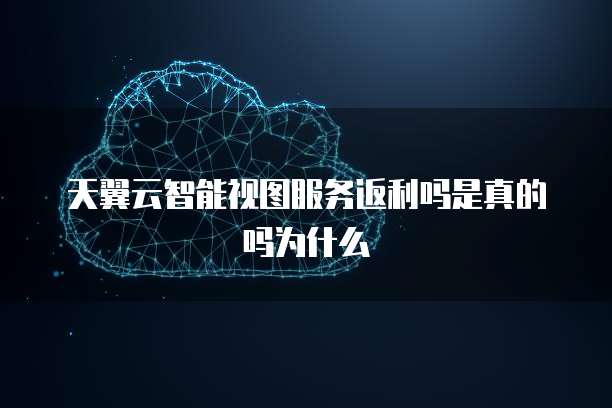 天翼云智能视图服务返利吗是真的吗为什么