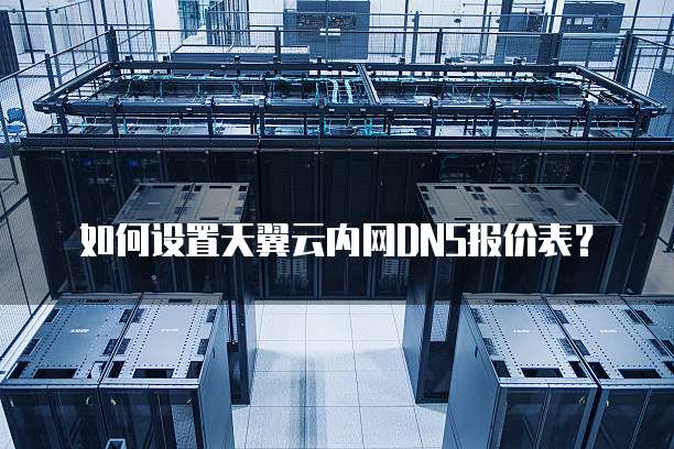 如何设置天翼云内网DNS报价表?