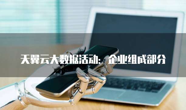 天翼云大数据活动：企业组成部分