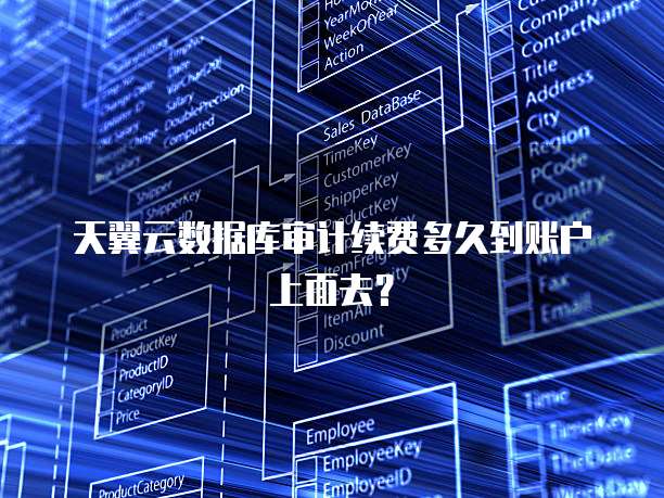 天翼云数据库审计续费多久到账户上面去?