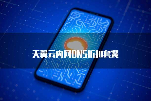 天翼云内网DNS折扣套餐