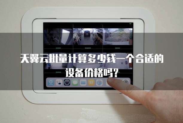 天翼云批量计算多少钱一个合适的设备价格吗?