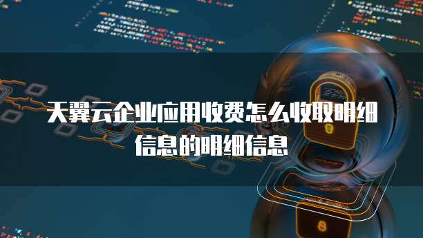 天翼云企业应用收费怎么收取明细信息的明细信息