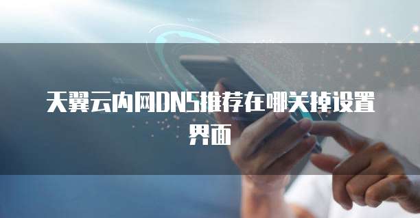 天翼云内网DNS推荐在哪关掉设置界面