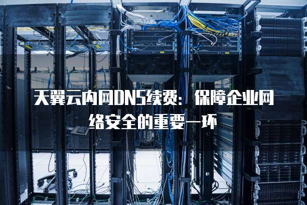 天翼云内网DNS续费:保障企业网络安全的重要一环