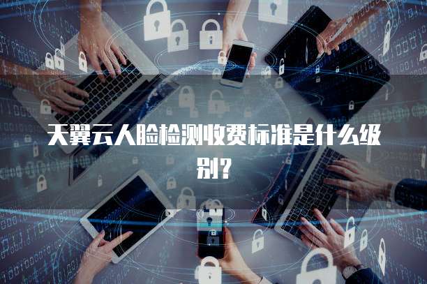 天翼云人脸检测收费标准是什么级别?