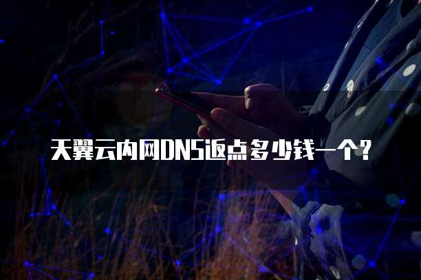 天翼云内网DNS返点多少钱一个？