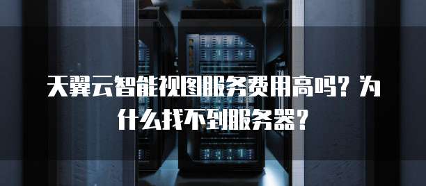天翼云智能视图服务费用高吗？为什么找不到服务器？
