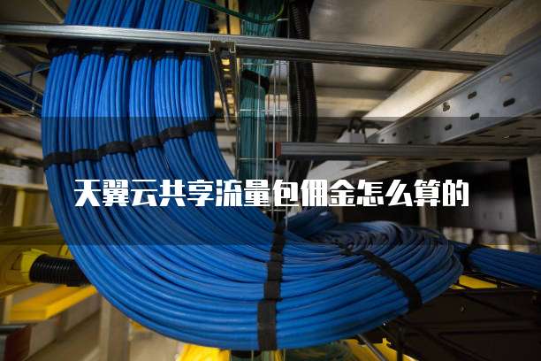 天翼云共享流量包佣金怎么算的