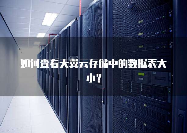 如何查看天翼云存储中的数据表大小?