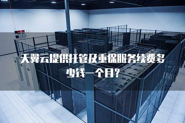 天翼云提供托管及重保服务续费多少钱一个月?