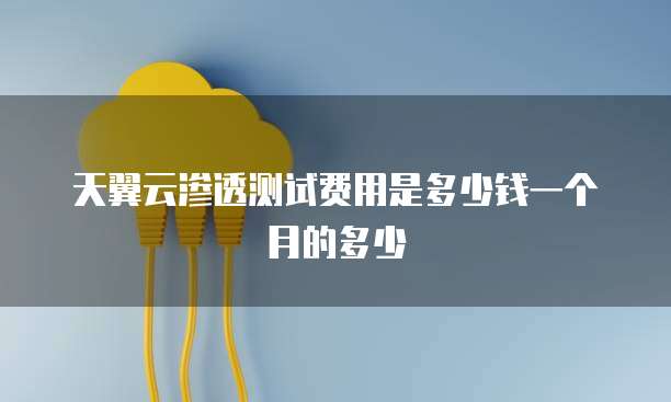 天翼云渗透测试费用是多少钱一个月的多少