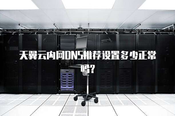 天翼云内网DNS推荐设置多少正常吗?