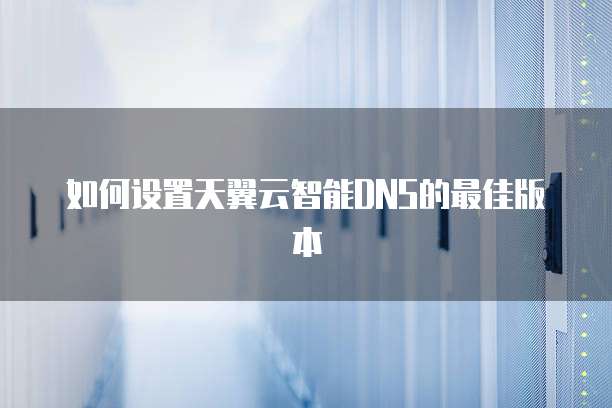 如何设置天翼云智能DNS的最佳版本