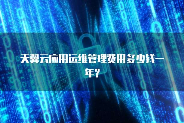天翼云应用运维管理费用多少钱一年？