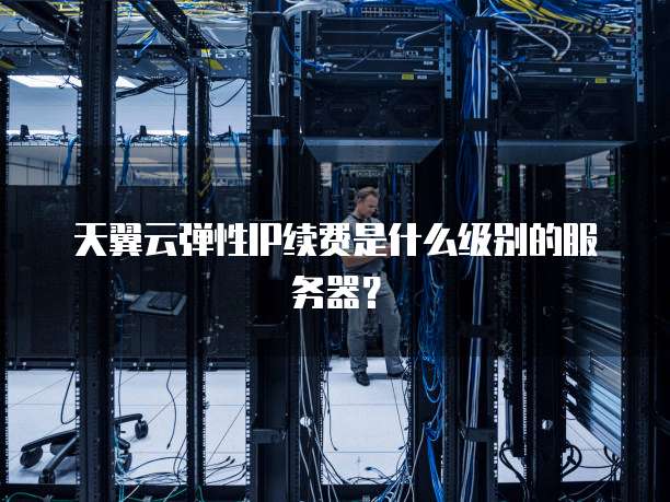 天翼云弹性IP续费是什么级别的服务器?