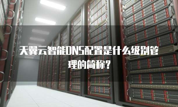 天翼云智能DNS配置是什么级别管理的简称?