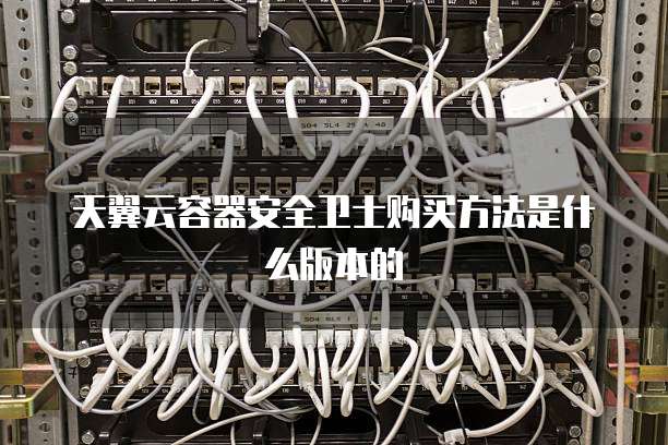 天翼云容器安全卫士购买方法是什么版本的