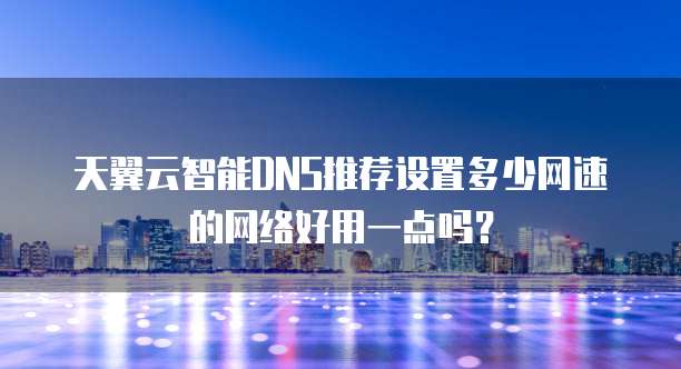 天翼云智能DNS推荐设置多少网速的网络好用一点吗?