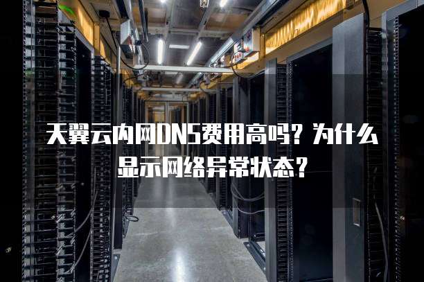 天翼云内网DNS费用高吗？为什么显示网络异常状态？