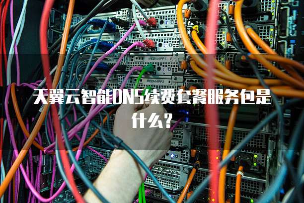 天翼云智能DNS续费套餐服务包是什么?