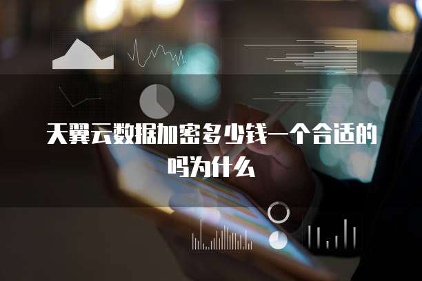 天翼云数据加密多少钱一个合适的吗为什么