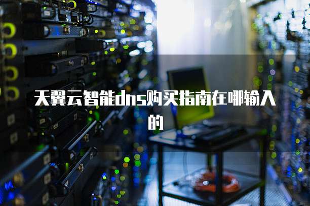 天翼云智能dns购买指南在哪输入的