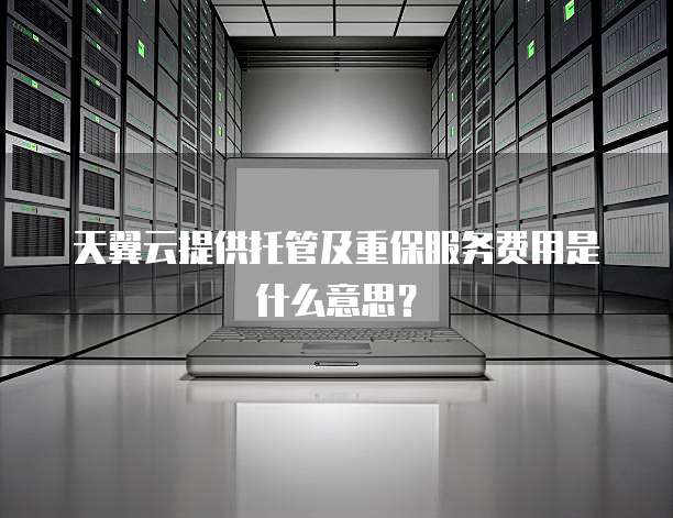 天翼云提供托管及重保服务费用是什么意思?