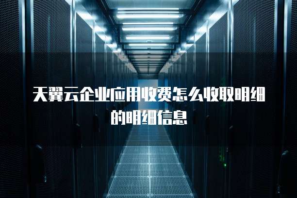 天翼云企业应用收费怎么收取明细的明细信息
