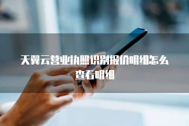 天翼云营业执照识别报价明细怎么查看明细