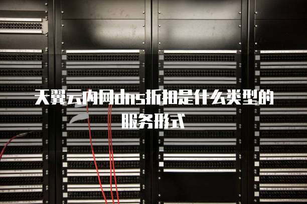 天翼云内网dns折扣是什么类型的服务形式