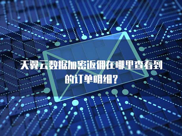 天翼云数据加密返佣在哪里查看到的订单明细？