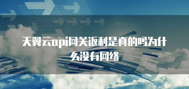 天翼云api网关返利是真的吗为什么没有网络