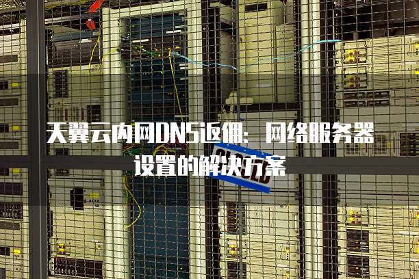 天翼云内网DNS返佣:网络服务器设置的解决方案