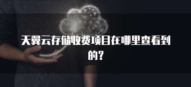 天翼云存储收费项目在哪里查看到的？