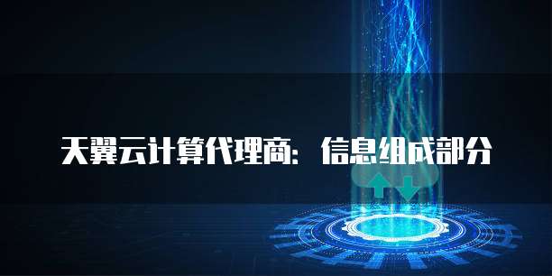 天翼云计算代理商:信息组成部分