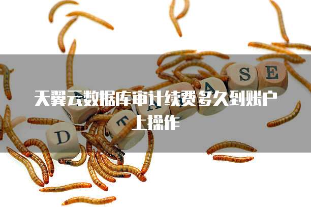 天翼云数据库审计续费多久到账户上操作