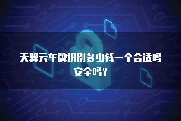 天翼云车牌识别多少钱一个合适吗安全吗?