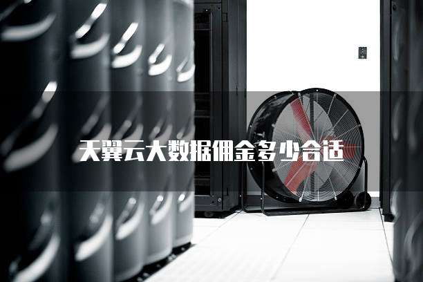 天翼云大数据佣金多少合适