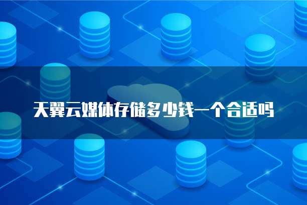 天翼云媒体存储多少钱一个合适吗