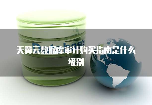 天翼云数据库审计购买指南是什么级别