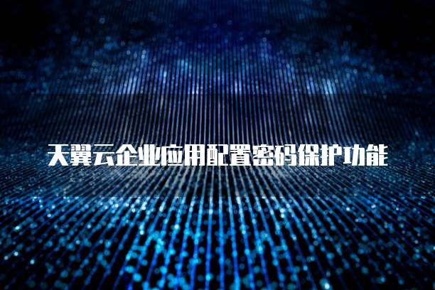天翼云企业应用配置密码保护功能