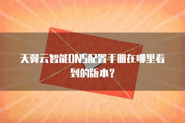 天翼云智能DNS配置手册在哪里看到的版本？