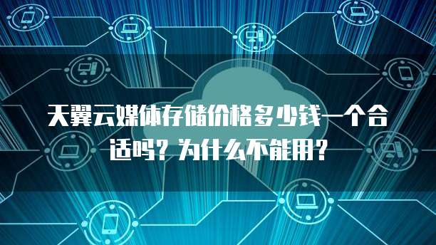 天翼云媒体存储价格多少钱一个合适吗？为什么不能用？