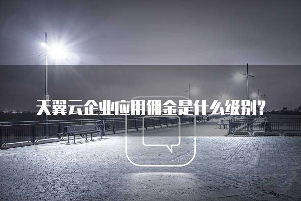 天翼云企业应用佣金是什么级别?