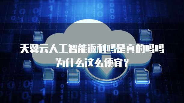 天翼云人工智能返利吗是真的吗吗为什么这么便宜?